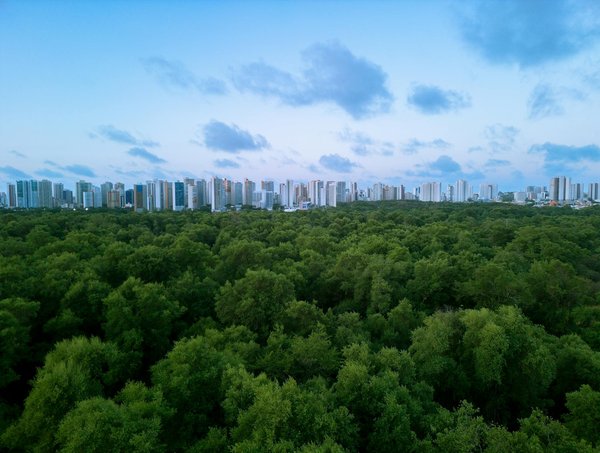 Découvrez les avantages du bilan de compétences