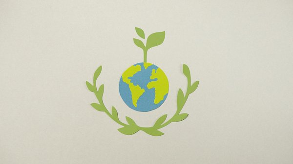 Panneaux solaires photovoltaïques : économies sur vos factures d'énergie